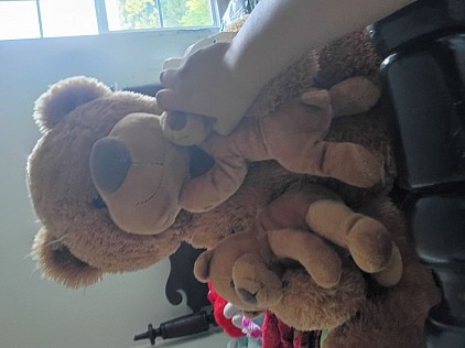 Big bear is really soft. That's why l like him